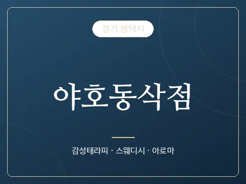 야호동삭점 · 경기 평택시