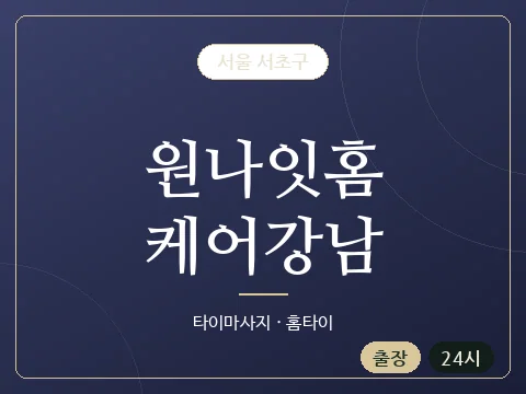 원나잇홈케어강남 · 서울 서초구