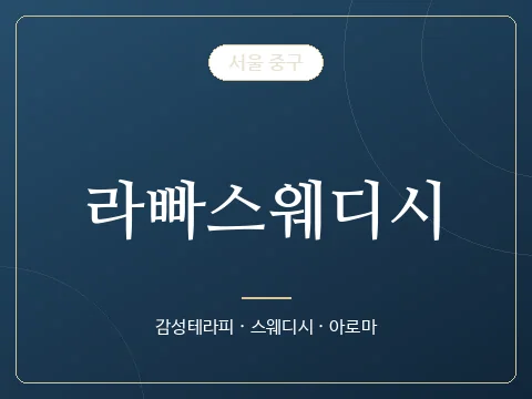 라빠스웨디시 · 서울 중구