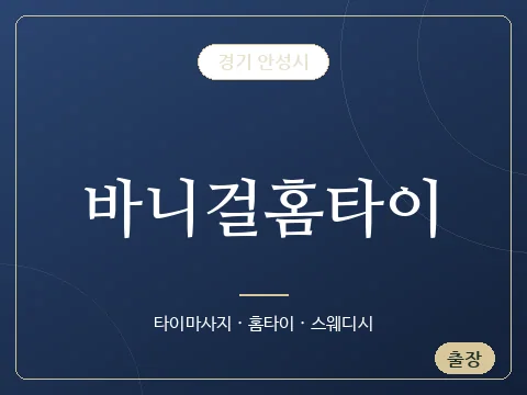 바니걸홈타이 · 경기 안성시